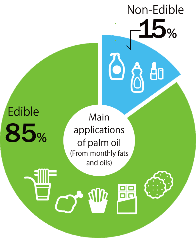 The main applications of palm oil.