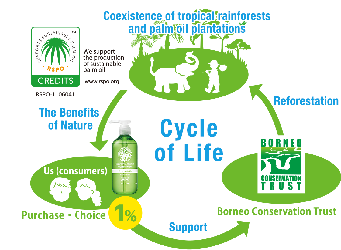 The circle of life for the Borneo forest.