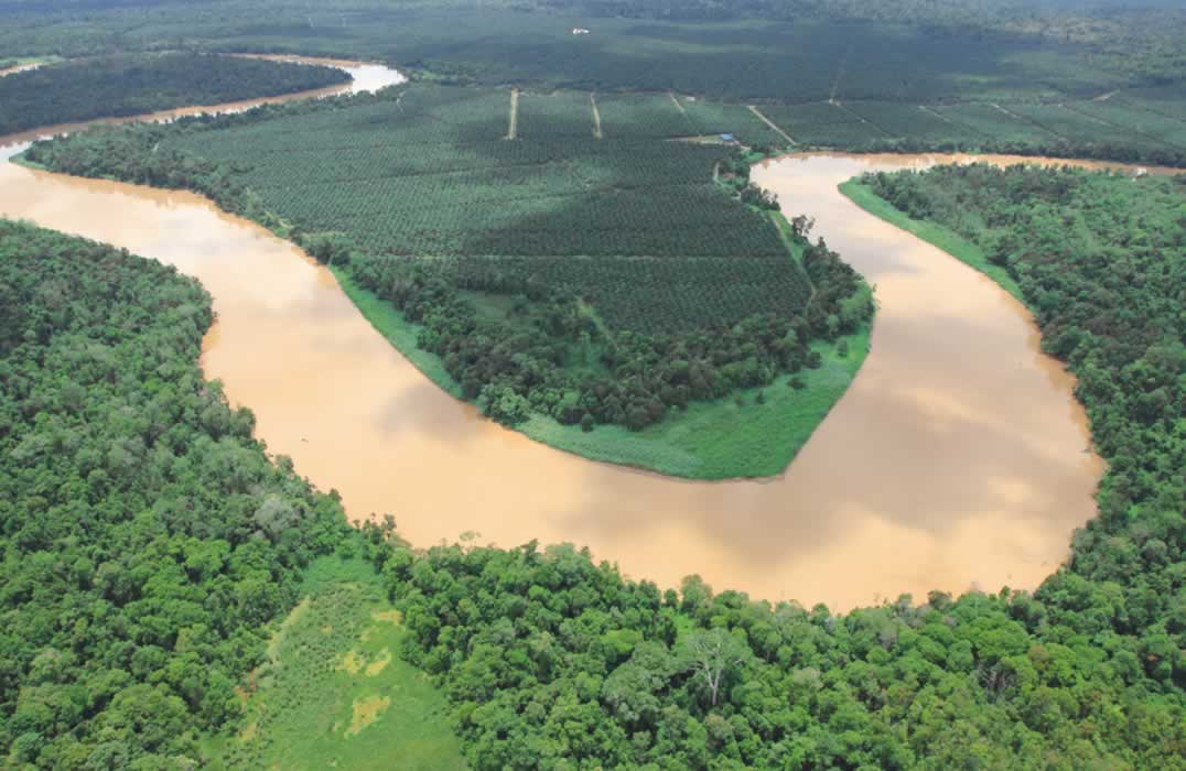 The Kinabatangan River, home of remarkable wildlife and fascinating habitats.