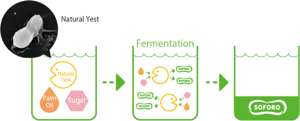 Process of how Saraya's Soforo is created.